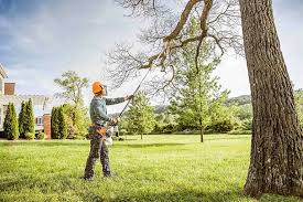 Best Tree Mulching Services  in Valparaiso, IN